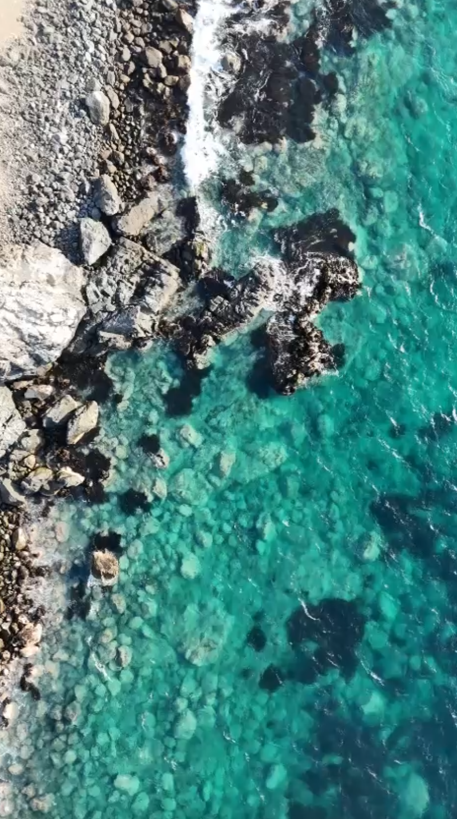 Video 3